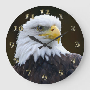 Amerikanörn Stor Klocka