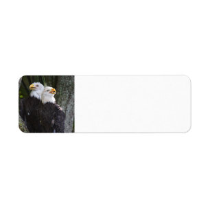 Amerikanörnreturetiketter Returadress Etikett