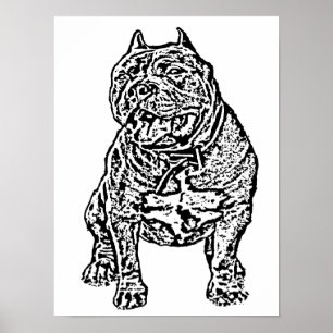 Amerikanöversittarehund Poster