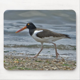 AmerikanOystercatcher Mousepad Musmatta