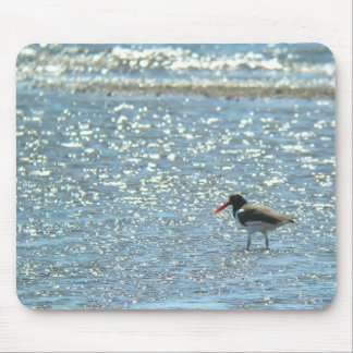 AmerikanOystercatcher Mousepad Musmatta