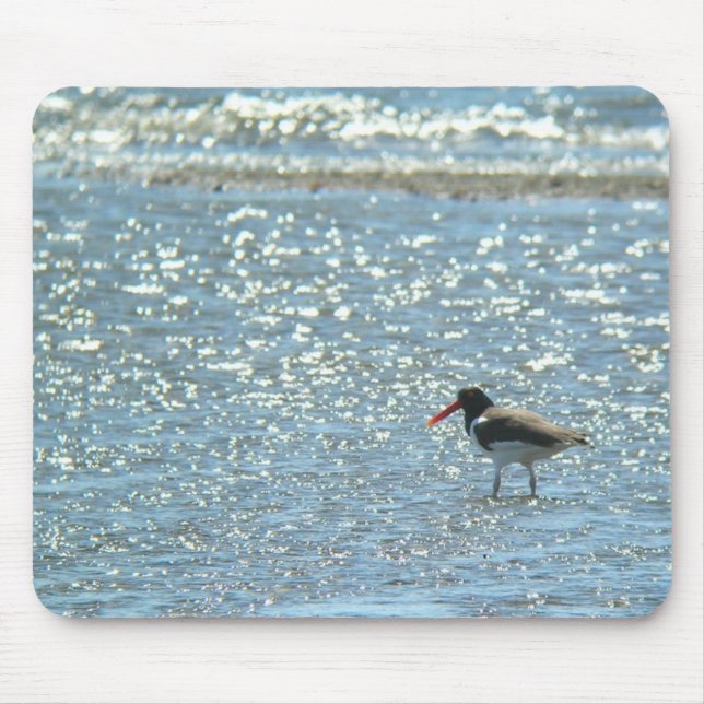 AmerikanOystercatcher Mousepad Musmatta (Framsidan)