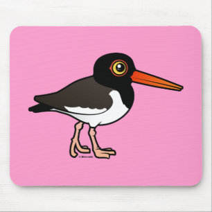 AmerikanOystercatcher Musmatta