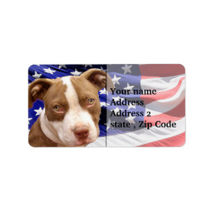 AmerikanPitbull valp Adressetikett