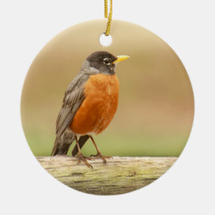 AmerikanRobin anseende Julgransprydnad Keramik