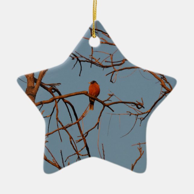 AmerikanRobin hem som ska roosts Julgransprydnad Keramik (Framsidan)