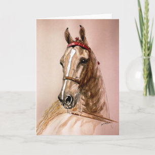 AmerikanSaddlebred häst Kort