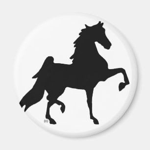 AmerikanSaddlebred häst Magnet