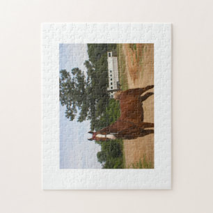 AmerikanSaddlebred pussel
