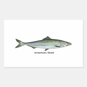 AmerikanShad Rektangulärt Klistermärke
