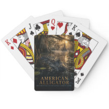 Amerikansk Alligator Cypress Sumpmark Djur