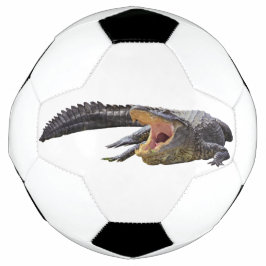 Amerikansk alligator - Florida-vildlivet