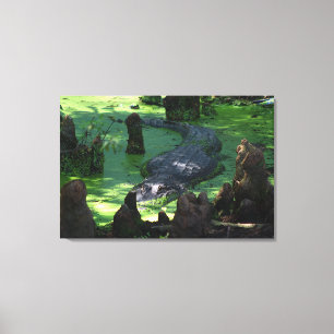Amerikansk Alligator i Swamps Fine Art Photo Canvastryck