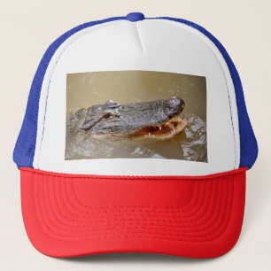 Amerikansk alligator med öppen mun keps