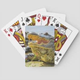 Amerikansk alligator porträtt - Ansikte till ansik Spelkort