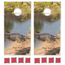 Amerikansk alligator vid sjö i Florida