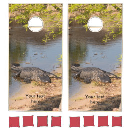 Amerikansk alligator vid sjö i Florida