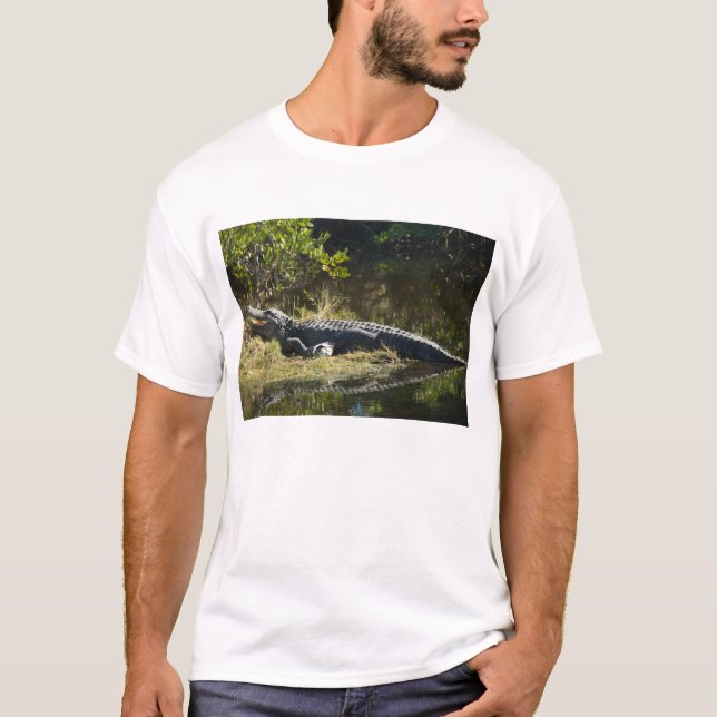 Amerikansk alligator vilar längs en våtmark i Flor Tee (Framsida)