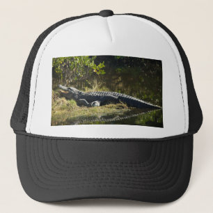 Amerikansk alligator vilar längs naturlig våtmark truckerkeps