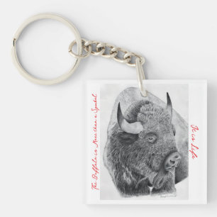 Amerikansk bison