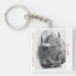 Amerikansk bison