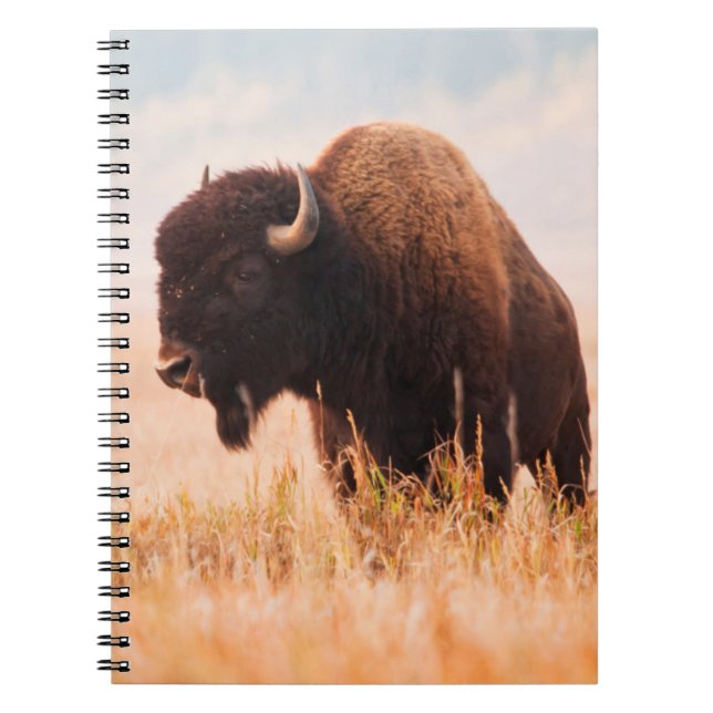Amerikansk Bison (Bison Bison) Flock I Teton 2 Anteckningsbok Med Spiral (Framsidan)