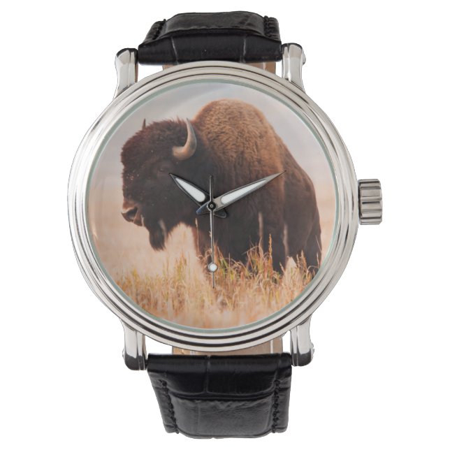 Amerikansk Bison (Bison Bison) Flock i Teton 2 Armbandsur (Framsida)