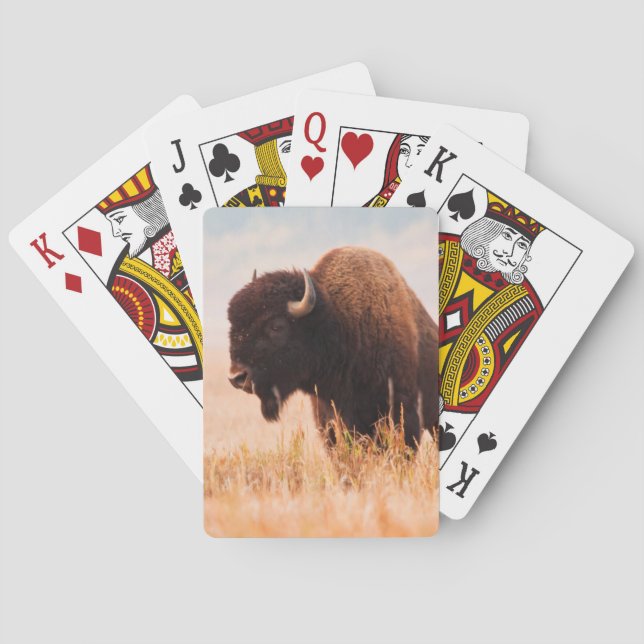 Amerikansk Bison (Bison Bison) Flock i Teton 2 Casinokort (Baksidan)