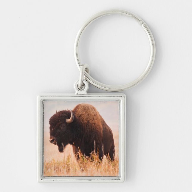 Amerikansk Bison (Bison Bison) Flock i Teton 2 Fyrkantig Silverfärgad Nyckelring (Framsidan)