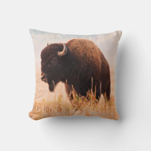Amerikansk Bison (Bison Bison) Flock i Teton 2 Kudde