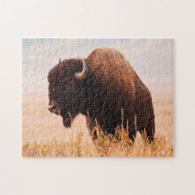 Amerikansk Bison (Bison Bison) Hjord I Teton 2 Pussel (Horisontell)