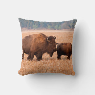 Amerikansk bison (Bison bison) ko och kalv Kudde