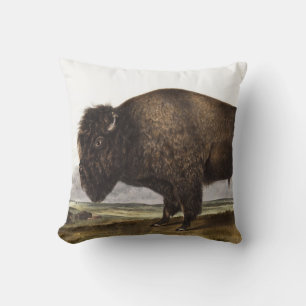 Amerikansk Bison (Bos Americanus) Illustration Kudde