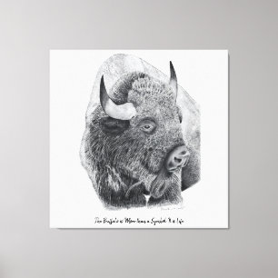 Amerikansk bison canvastryck