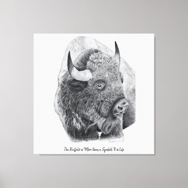 Amerikansk bison canvastryck (Framsida)