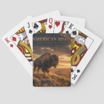 Amerikansk Bison Great Plains DJUR