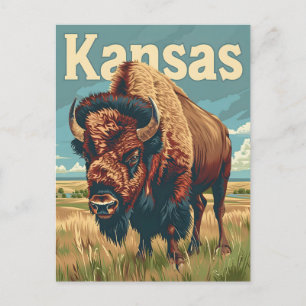 Amerikansk bison i Kansas Vykort