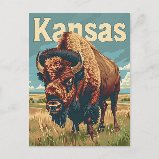 Amerikansk bison i Kansas Vykort (Framsida)