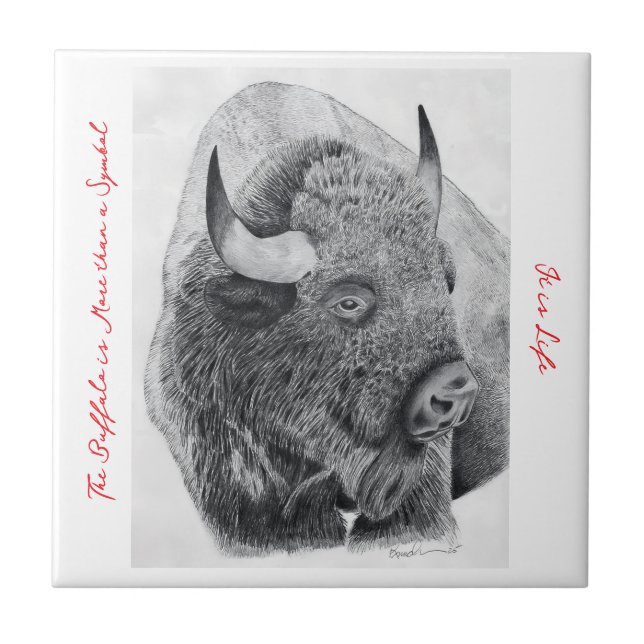 Amerikansk bison kakelplatta (Framsidan)