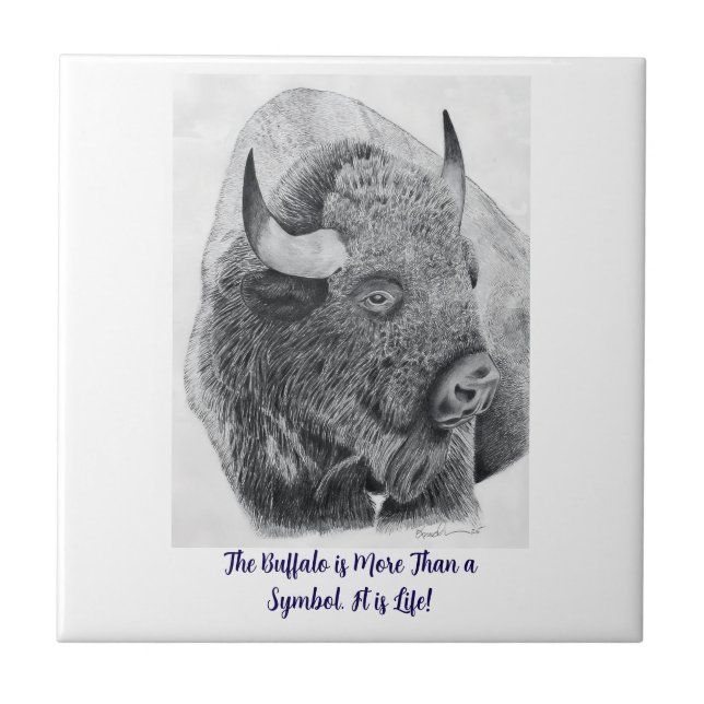Amerikansk bison kakelplatta (Framsidan)