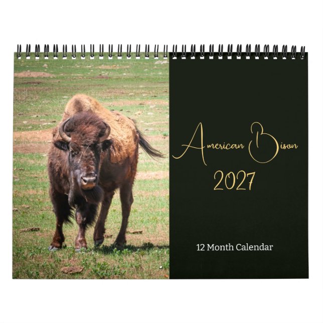Amerikansk Bison-kalender 2027 Kalender (Omslag)