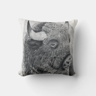 Amerikansk bison kudde