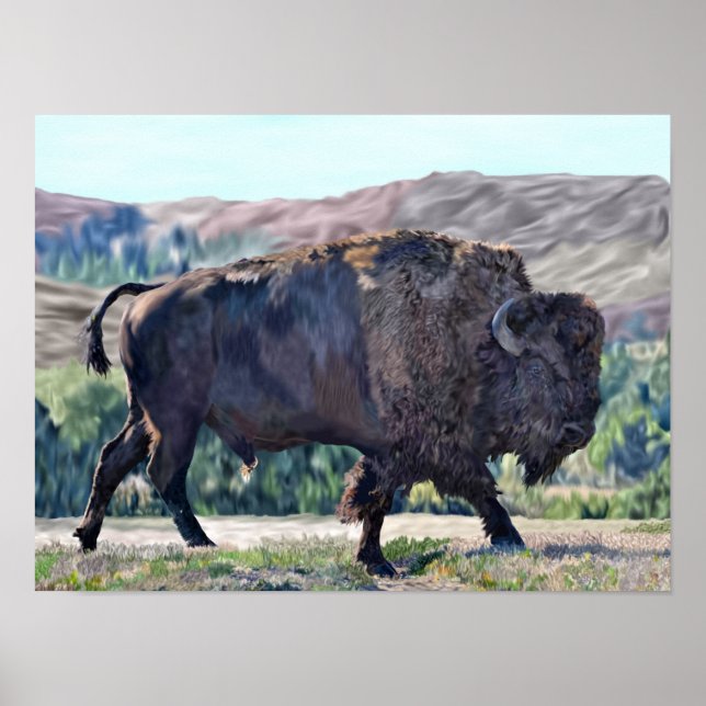 Amerikansk Bison Poster (Framsidan)