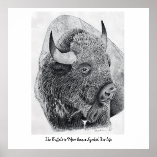 Amerikansk bison poster