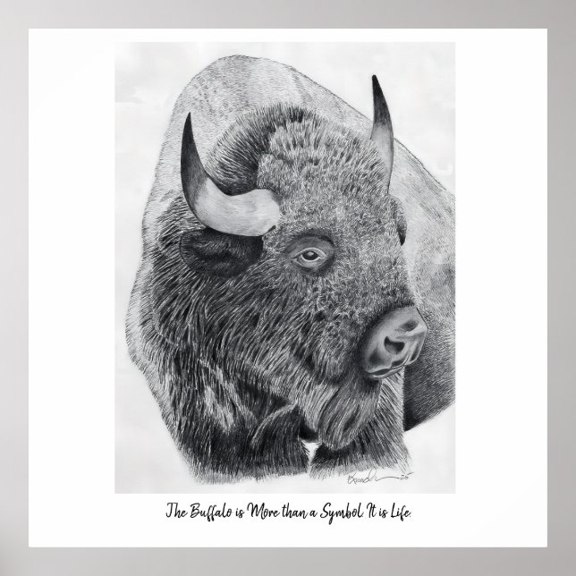 Amerikansk bison poster (Framsidan)