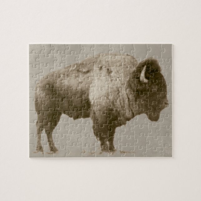 Amerikansk bison pussel (Horisontell)
