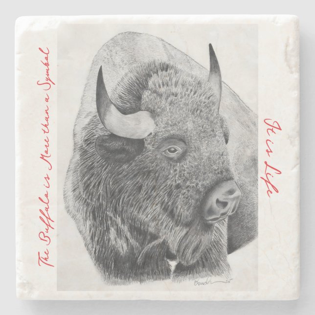 Amerikansk bison stenunderlägg (Framsidan)