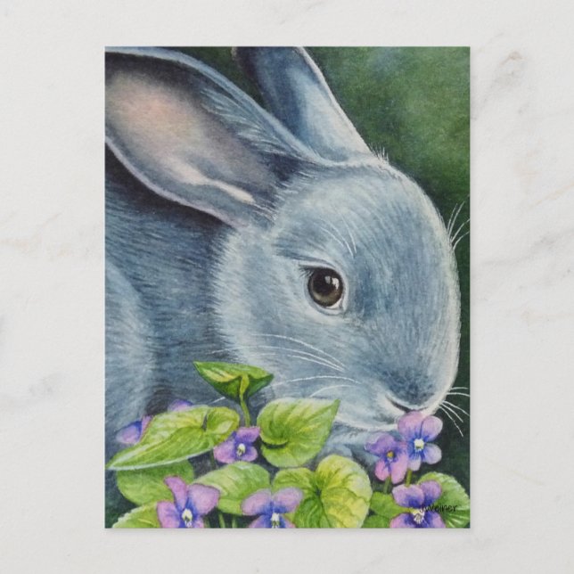 Amerikansk blå kanin i Violets Watercolor Art Vykort (Framsida)