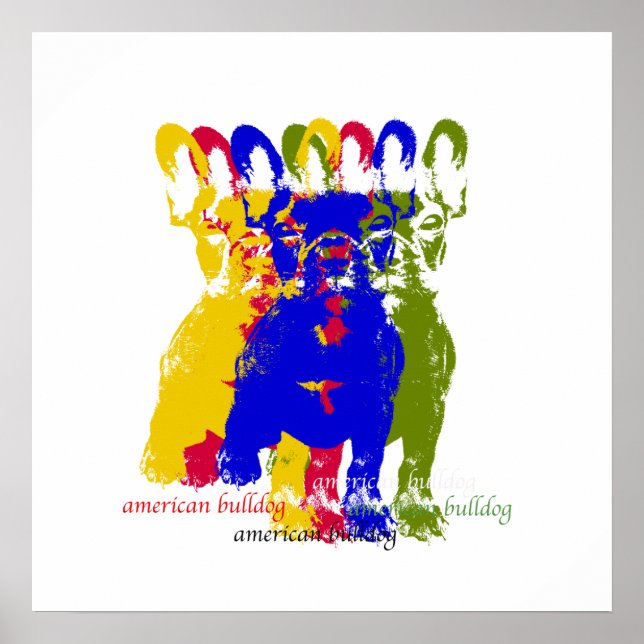 Amerikansk bulldog poster (Framsidan)