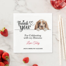 Amerikansk Cocker Spaniel Hund Bröllop Cocktail